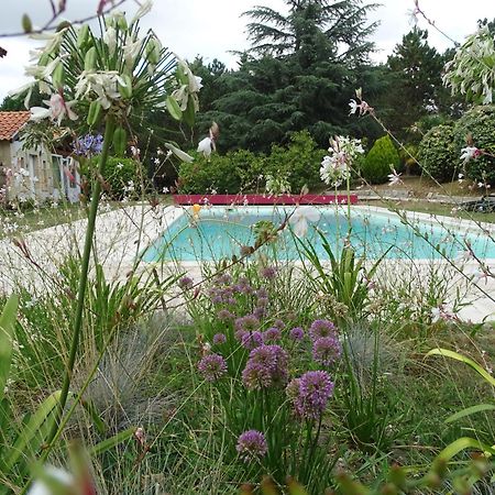 Villa Entiere Du Chateau Lacroix De Civrac 3 Ch, 3 Sdb, Piscine Xxl,Sauna, 4 Etoiles,7 Pers Kültér fotó
